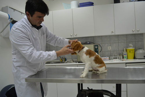 Παθολογικό